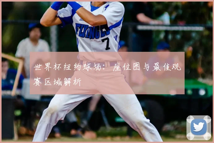 世界杯纽约球场：座位图与最佳观赛区域解析